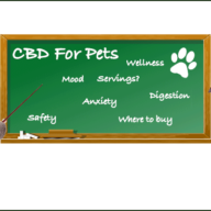 CBD for Pets